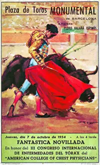 Spanish Prints: Bullfight Poster Novel