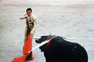 Bullfighting in Mexico City