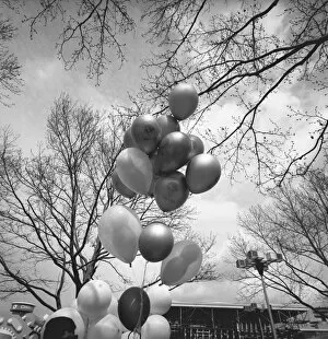 Images Dated 6th November 2006: Bunch of balloons outdoors, (B&W), low angle view