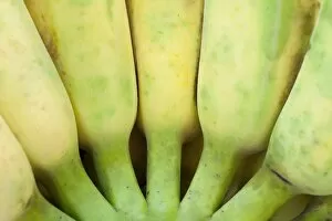 Picture Detail Collection: Bunch of bananas