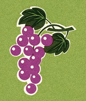 Bunch of Grapes