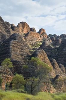 Images Dated 6th October 2011: Bungle Bungles, beehive-shaped sandstone towers, Purnululu National Park, UNESCO World Heritage Site