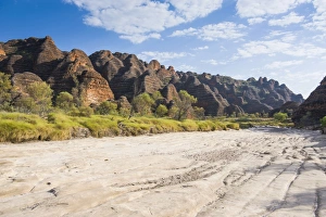 Images Dated 5th October 2008: Bungle Bungles, beehive-shaped sandstone towers, Purnululu National Park, UNESCO World Heritage Site