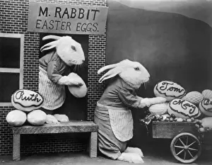 Prints of Circa 1930, Two stuffed rabbits in aprons load labelled Easter eggs from M Rabbits store onto a small cart. (Photo by Frees/FPG/Getty Images) Black and White Images Capturing the Essence of Mid-20th Century: Bunny Business