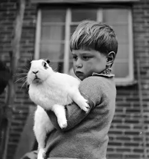 Bunny Love