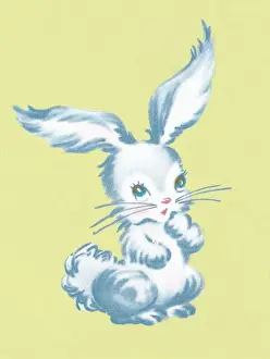 Fluffy Prints: Bunny rabbit