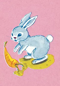 Fluffy Prints: Bunny rabbit