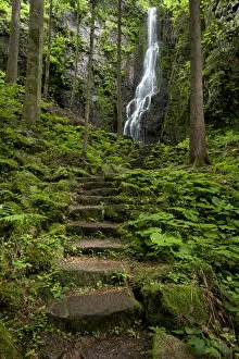 Burgbach Waterfall in Schapbach, Black Forest, Baden-Wuerttemberg, Germany, Europe
