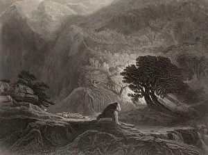 Fire Natural Phenomenon Prints: The Burning Bush