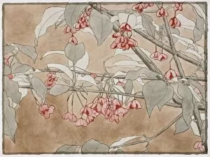 Los Angeles County Museum of Art (LACMA) Collection: Burning Bush by Hannah Borger Overbeck