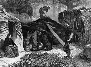 Occupations Manufacturing Europe Prints: Burning Charcoal