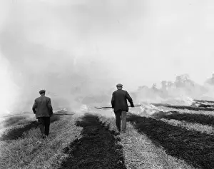 Burning Stubble