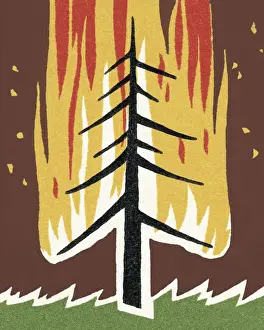 Burning Tree