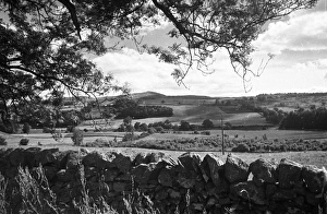 Burns Countryside