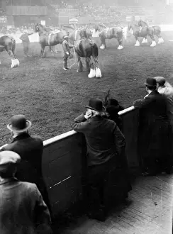 Recruitment Prints: Burns At Horse Show