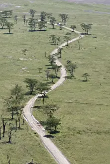 Bus, Curve, Field, Grass, Green, Lake Nakuru, Land Vehicle, Landscape, Nakuru, Non-Urban Scene