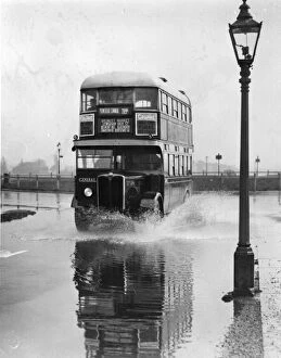 Rain Gallery: Bus Splash