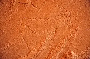Works Prints: Bushman rock carving of a Gemsbok or Gemsbuck (Oryx gazella)