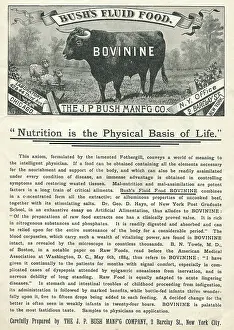 T1710655 Prints: Bush's Fluid Food Bovinine