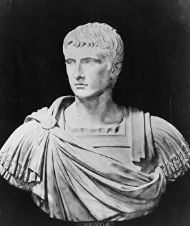 Images Dated 8th April 2016: Bust Of Augustus