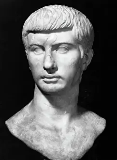 Bust of Brutus