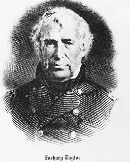Commander Prints: Bust Illustration Of Zachary Taylor
