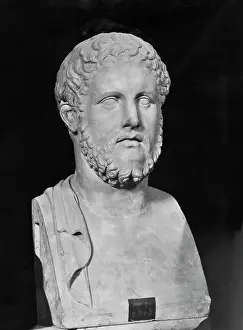 Bust Sculpture of Alcibiades