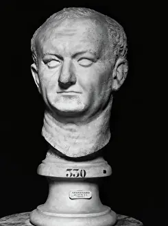 Austerity Prints: Bust of Vespasian
