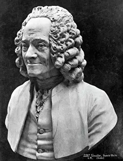 Anti Prints: Bust Of Voltaire
