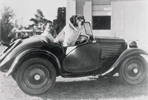 Buster Keaton and Dog in Automobile