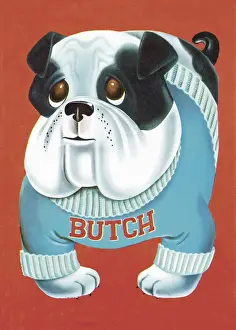 Pets Prints: Butch the Bulldog