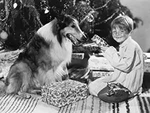 Butch Jenkins and Lassie at Christmas