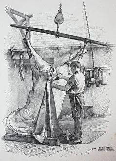 Dishes Prints: Butcher, Slaughterhouse in Berlin