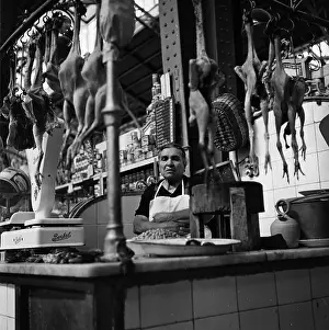 Meat Prints: Butcher's Shop