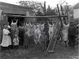 Butcher Prints: Butcher'S Shop;Backyard, Hanging Carcasse
