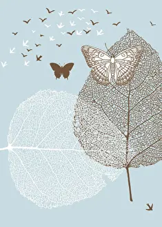 Illustra Prints: Butterflies; Leaves; Birds