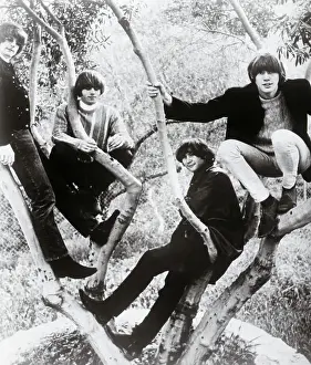 The Byrds Musical Group