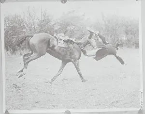 C. F. Collins Falling from His Horse