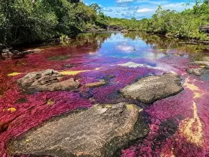 Ultimate Earth Prints Gallery: Caño Cristales River, Sierra de la Macarena National Park Collection