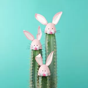 Images Dated 15th April 2017: Cactus with Easter Rabbit decorations