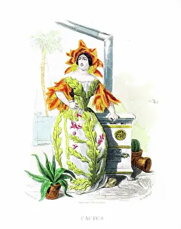Grandville Prints: Cactus - Hand colored plate from 'Les Fleurs Animees by J.J.Grandville 1867