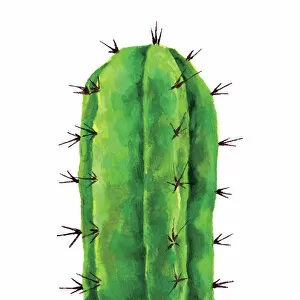 Textured Gallery: Cactus Painting