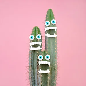 Desert Gallery: Cactus plant with teeth and eyes