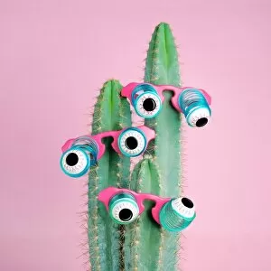 Images Dated 12th June 2017: Cactus Wearing Eyeball Glasses
