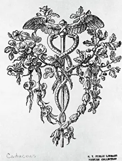 Fashion Design Prints: Caduceus With Decorative Floral Design