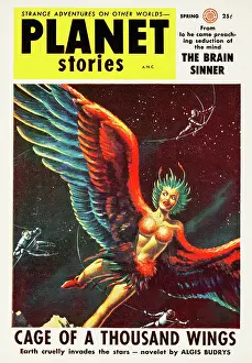 Science Fiction Prints: Cage of a Thousand Wings