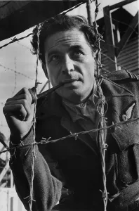 Barrier Prints: Caged Leo