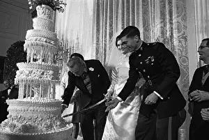Cake Cutting at the Johnson Wedding