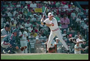 Cal Ripken, Jr. Batting