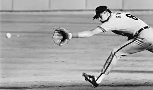 Shortstop Prints: Cal Ripken Jr. Reaching For Ground Ball